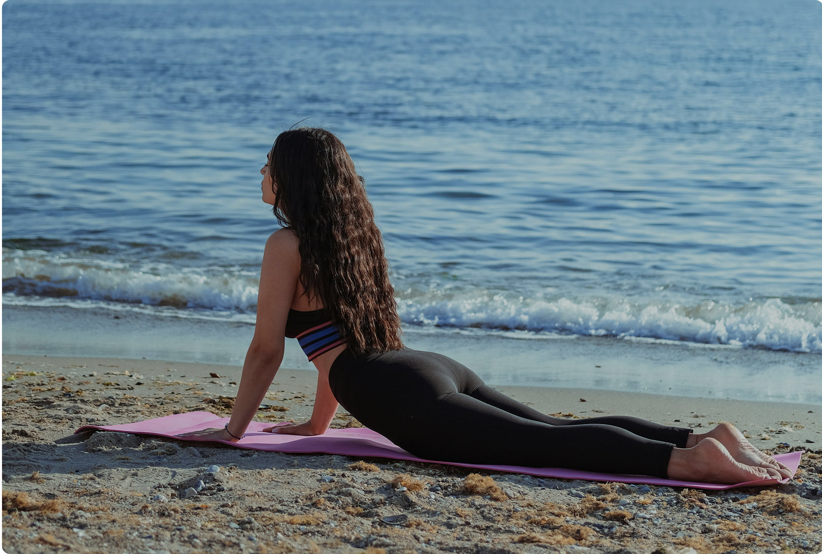Metabolic Flexibility: Why it Should Be Your Top Priority